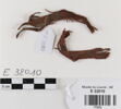 bande décorative d'habillement ; fragments, image 1/2