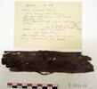 bande décorative d'habillement ; fragments, image 2/2