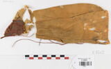 manteau ; bande décorative d'habillement ; fragments ; fragments, image 1/2
