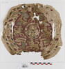 orbiculus ; fragment, image 1/2