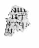 feuillet de codex ; fragment, image 1/2