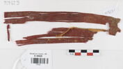 bande décorative d'habillement ; fragment, image 1/2