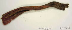 bande décorative d'habillement ; fragment, image 2/2
