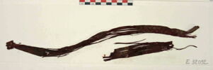 bande décorative d'habillement ; fragments, image 2/2