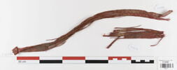bande décorative d'habillement ; fragments, image 1/2