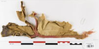 encolure ; fragment, image 1/2