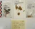 manche d'habit ; bande de poignet ; fragments, image 2/3