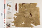 manche d'habit ; bande de poignet ; fragments, image 1/3