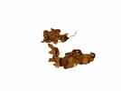 décor de textile ; fragments, image 2/2