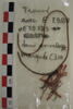 manche  ; fragments, image 2/2