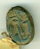 scarabée détaillé, image 1/2
