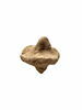 toupie  ; bouchon de vase, image 1/3