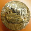 poisson, image 2/2