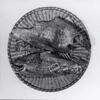 poisson, image 1/2