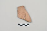 ostracon, image 3/4