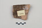ostracon, image 3/4