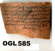 ostracon, image 4/4