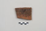 ostracon, image 2/4