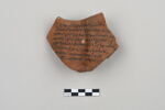 ostracon, image 2/4