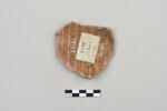 ostracon, image 3/4