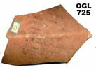 ostracon, image 3/5