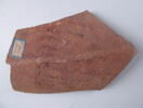 ostracon, image 4/5
