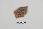ostracon, image 1/3