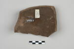 ostracon, image 2/3