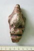 masque de momie, image 1/2