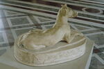 Un chien, image 3/5