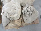 Raisins, image 3/3