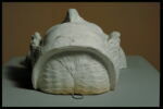 Moulage du masque de Charles V, image 4/4