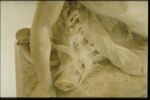 Méléagre mourant, image 19/20