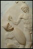 Gladiateurs, image 2/2