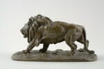 Lion affamé, image 4/7