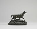 Cerf axis (marchant dans les herbes), image 2/2