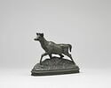 Cerf axis (marchant dans les herbes), image 1/2
