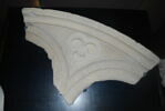 Redent d'une rose, image 2/2