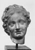 Tête de femme (Vénus ?), image 5/6