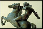 Amazone domptant un cheval, image 11/11