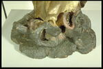 Saint Antoine, image 12/12