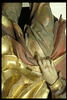 Saint Roch, image 11/13