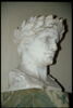 Napoléon Ier couronné de lauriers, image 4/5
