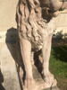 Lion, image 4/9