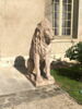 Lion, image 2/9