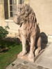 Lion, image 1/8