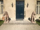 Lion, image 4/8