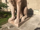 Lion, image 5/8