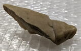 Fragment de Catherine d'Alençon comtesse de Mortain, image 2/2