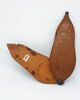 Râpe à tabac sculptée avec armoiries, image 4/4